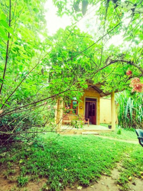 Monkey Jungle Cottage